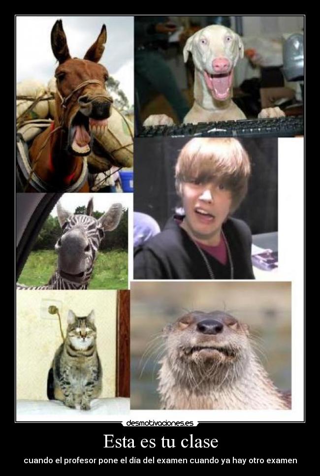 Esta es tu clase - cuando el profesor pone el día del examen cuando ya hay otro examen