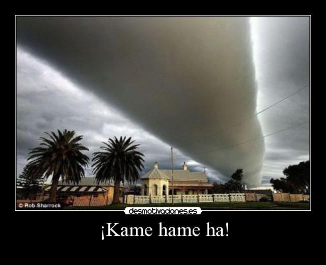 ¡Kame hame ha! -