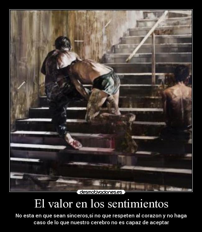 carteles sentimientos fds desmotivaciones