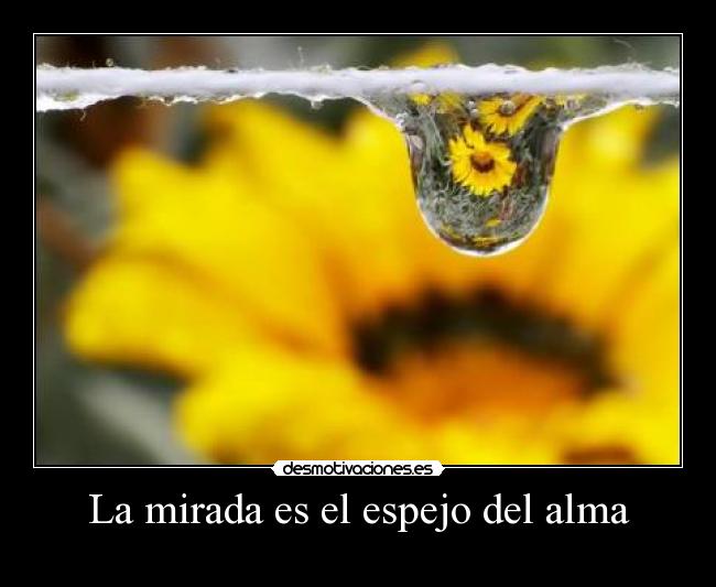 La mirada es el espejo del alma - 