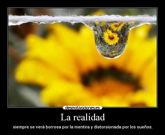 La realidad -