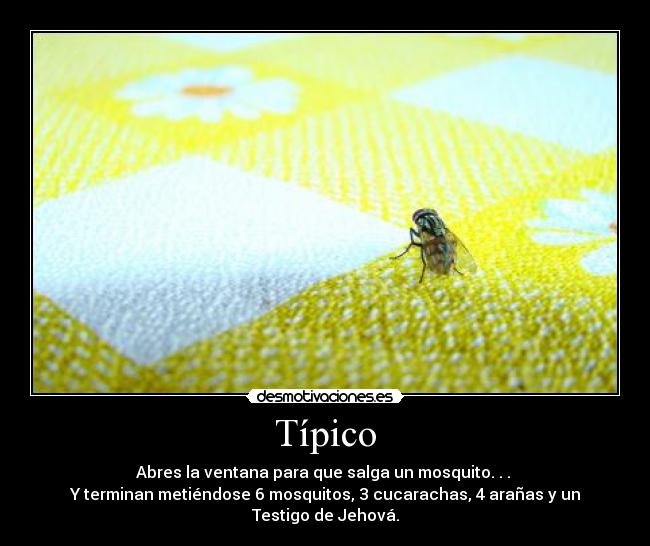 Típico -