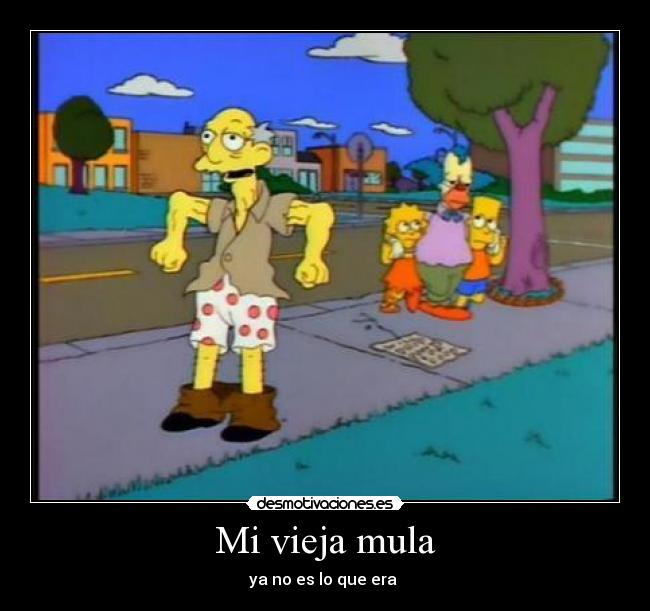 Mi vieja mula - ya no es lo que era ♫