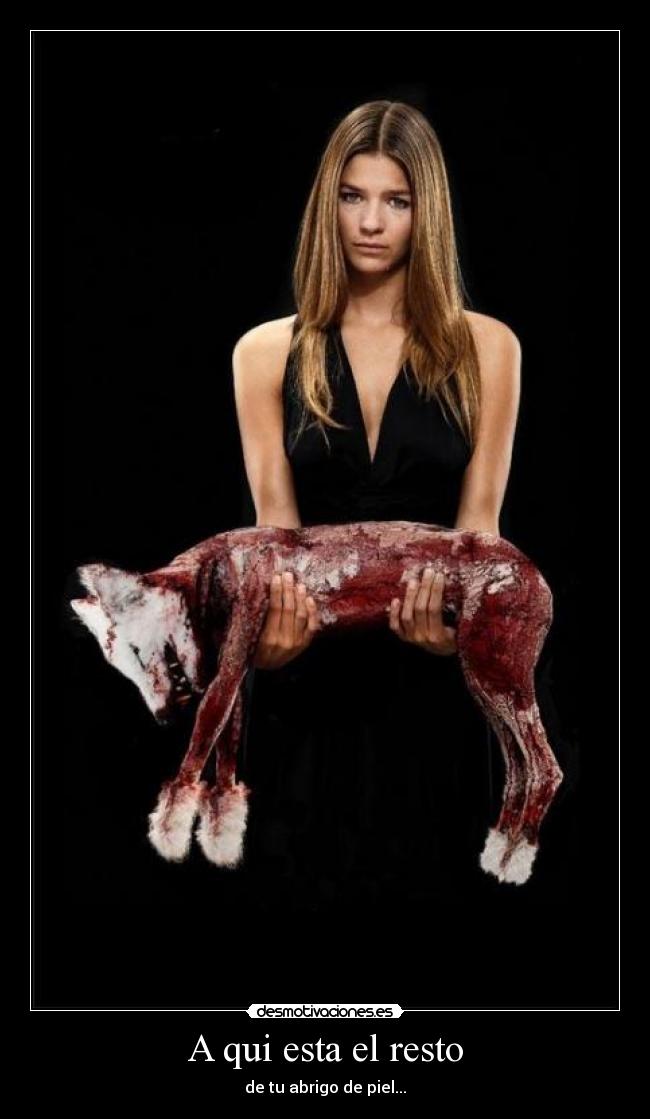 A qui esta el resto - de tu abrigo de piel...