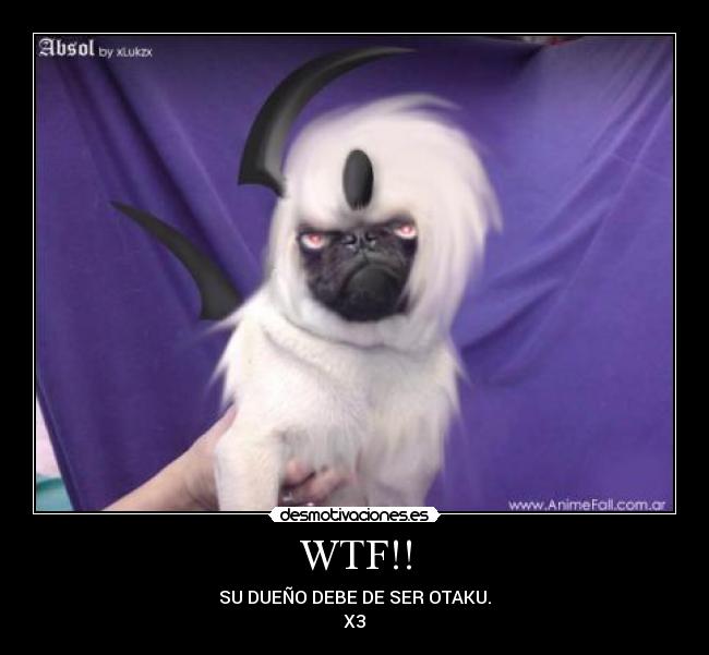 WTF!! - SU DUEÑO DEBE DE SER OTAKU.
X3