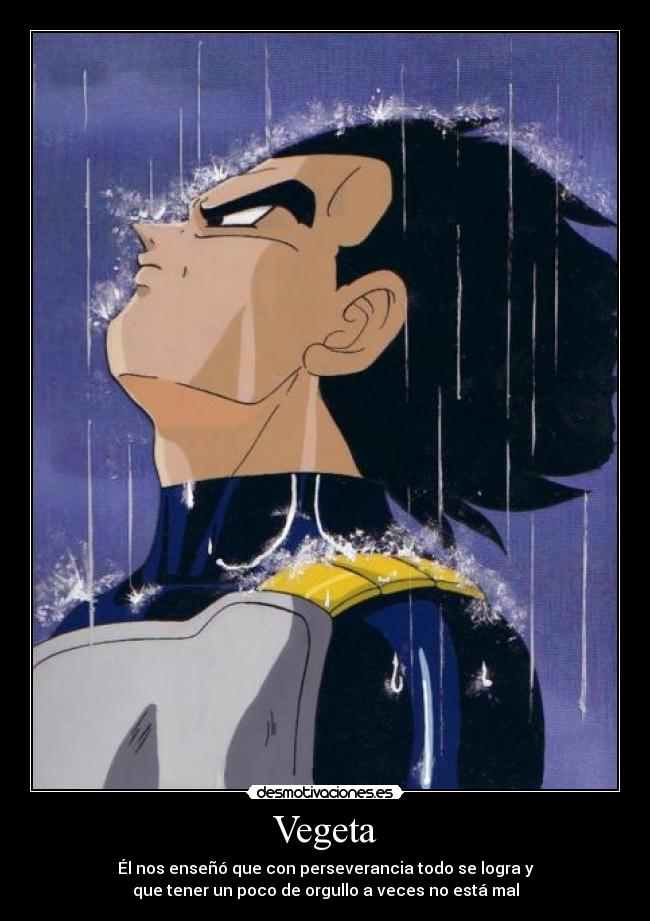 Vegeta - Él nos enseñó que con perseverancia todo se logra y
que tener un poco de orgullo a veces no está mal