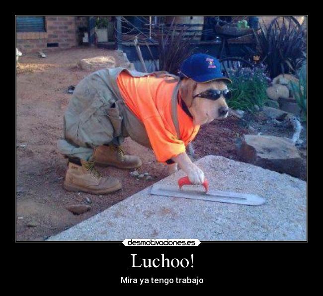 Luchoo! - Mira ya tengo trabajo