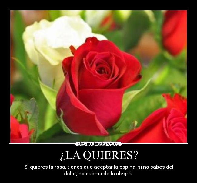 ¿LA QUIERES? -