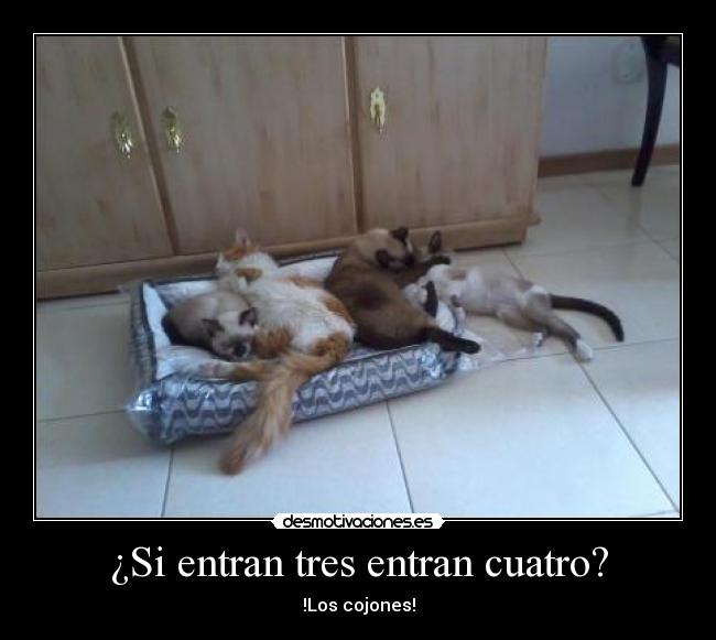 ¿Si entran tres entran cuatro? - 