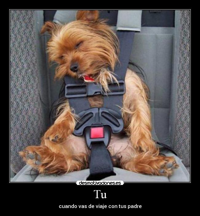 Tu - cuando vas de viaje con tus padre