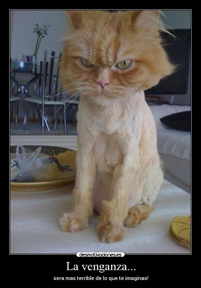 La venganza... -