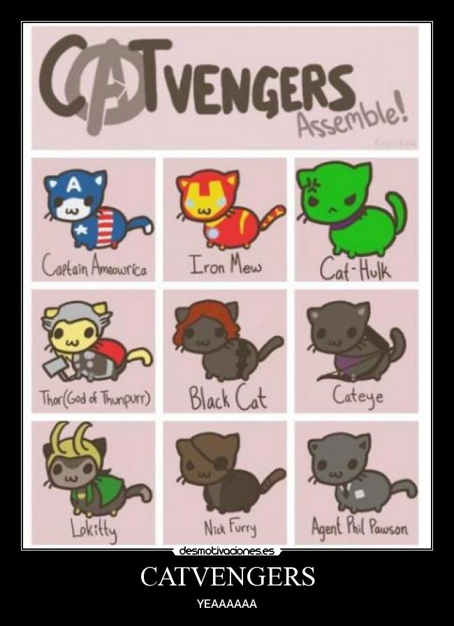 CATVENGERS - YEAAAAAA