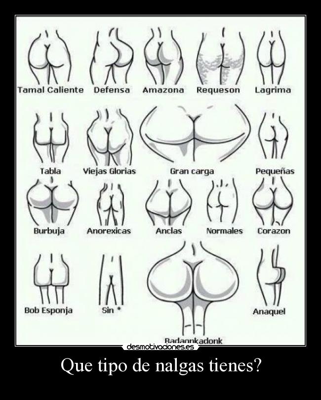 Que tipo de nalgas tienes? - 
