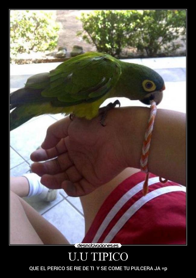 carteles para angely importan opinion votos solo fue hecha para otra intencion desmotivaciones