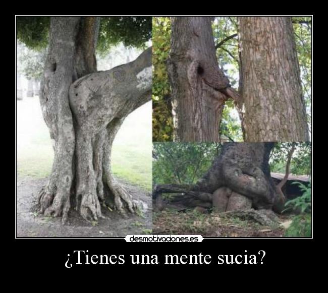 ¿Tienes una mente sucia? - 