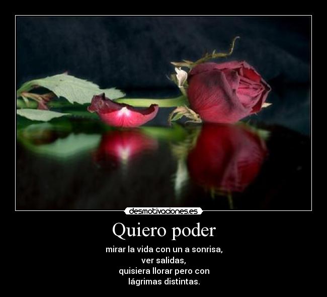 carteles todo tiene que cambiar desmotivaciones