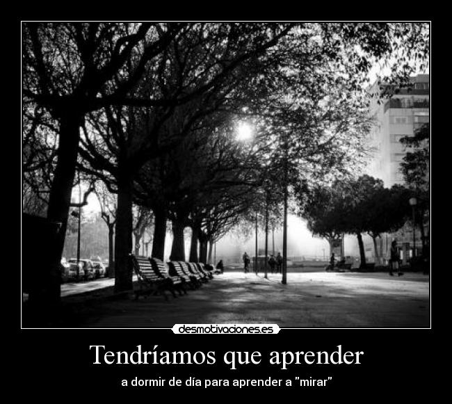 Tendríamos que aprender - a dormir de día para aprender a mirar