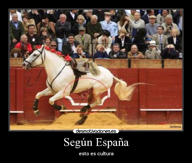 Según España - esto es cultura