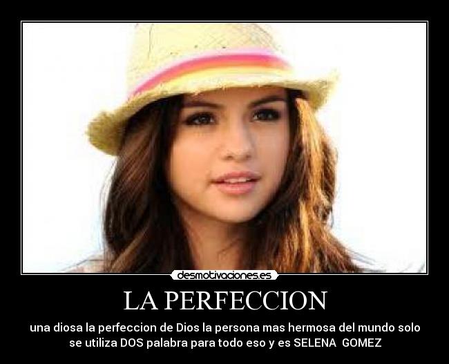 LA PERFECCION -