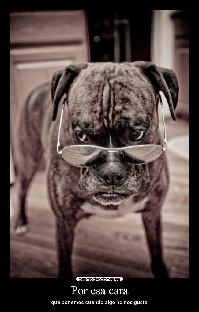 Por esa cara - 