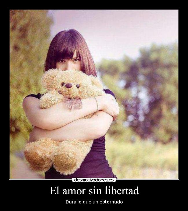 carteles amor libertad amor desmotivaciones