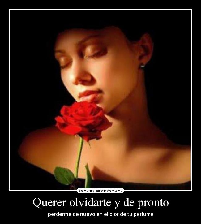 Querer olvidarte y de pronto -