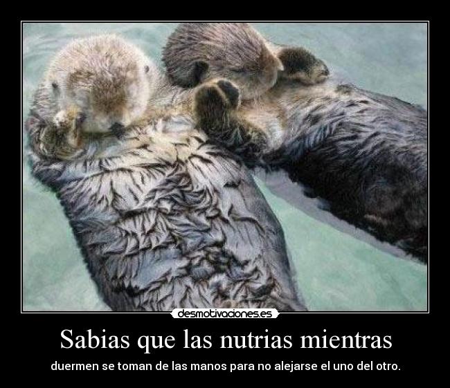 carteles tan lindas que sonn estas cositas chiquititas tete28 tambien aunque nadie importe desmotivaciones