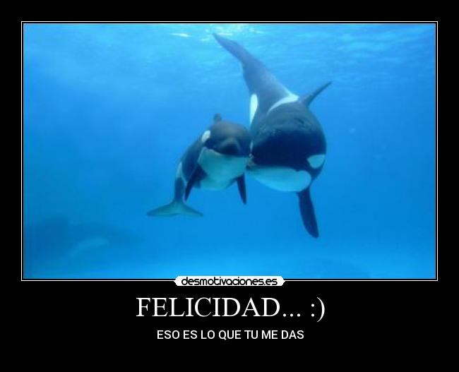 FELICIDAD... :) - ESO ES LO QUE TU ME DAS
♥