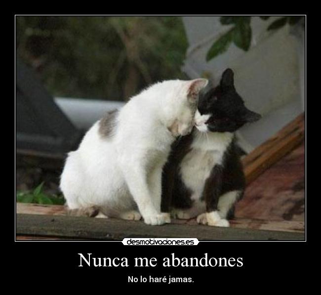 Nunca me abandones - No lo haré jamas.