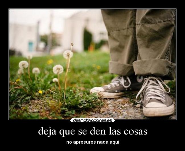 deja que se den las cosas -