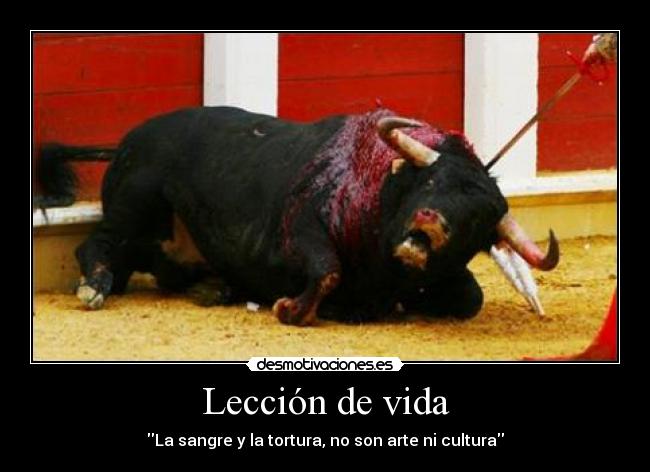 Lección de vida - La sangre y la tortura, no son arte ni cultura