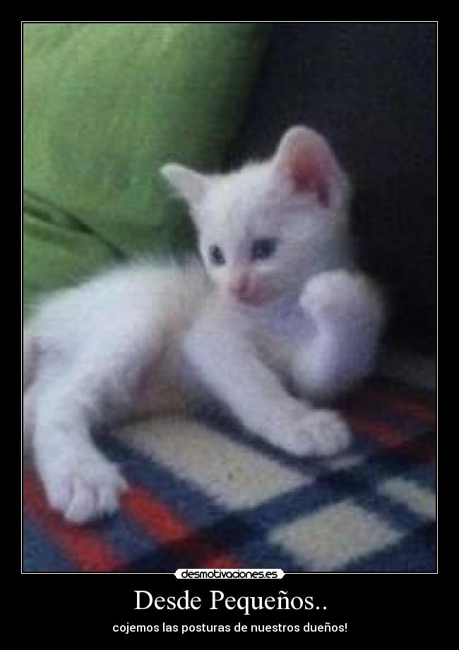 Desde Pequeños.. -