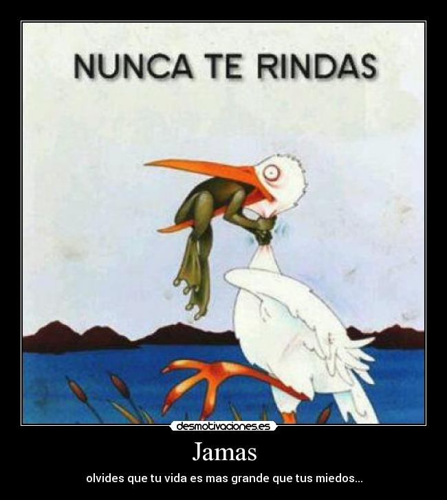 Jamas - 