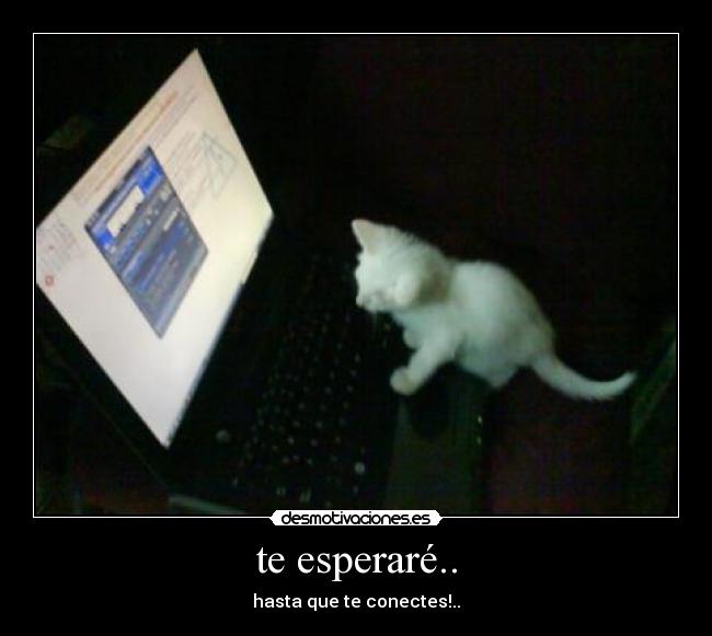 te esperaré.. - 