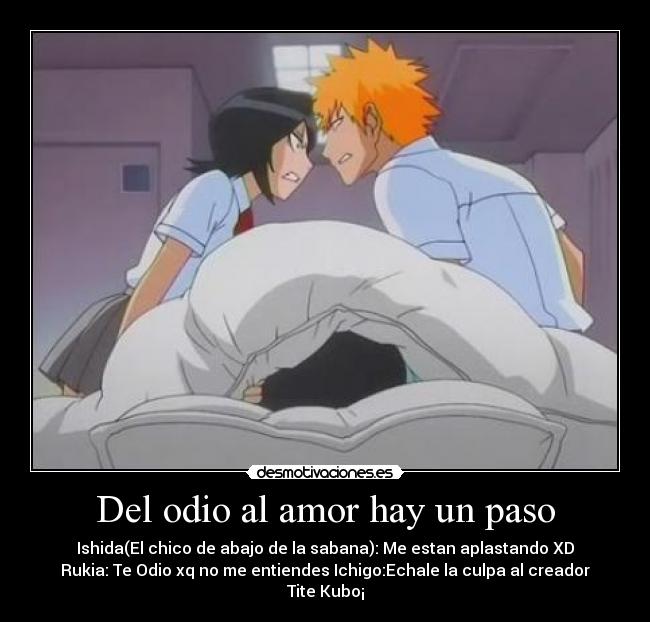 carteles odio amor bleach rukia ichigo amor parejas amor odio desmotivaciones