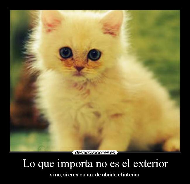 Lo que importa no es el exterior - si no, si eres capaz de abrirle el interior.