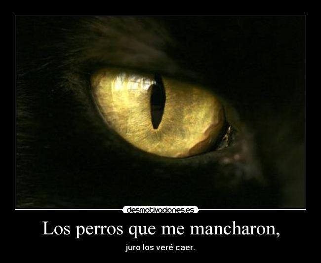 Los perros que me mancharon, - juro los veré caer.