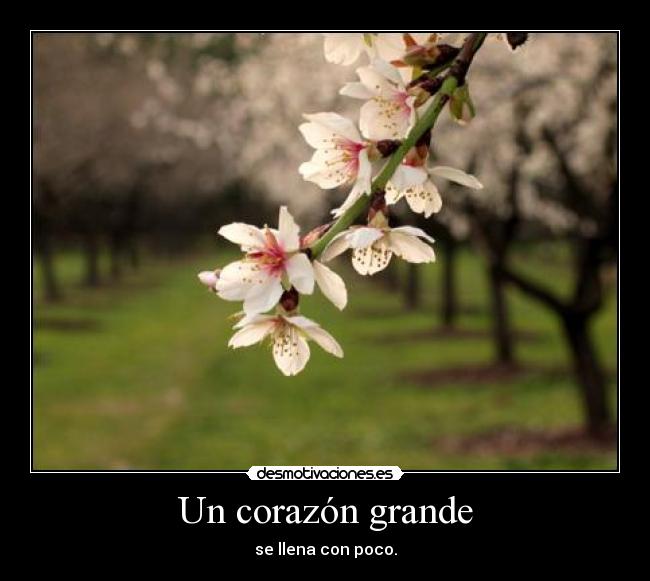 Un corazón grande - se llena con poco.