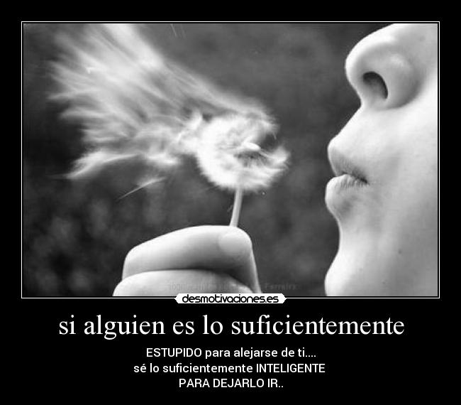 si alguien es lo suficientemente - ESTUPIDO para alejarse de ti....
sé lo suficientemente INTELIGENTE
PARA DEJARLO IR..