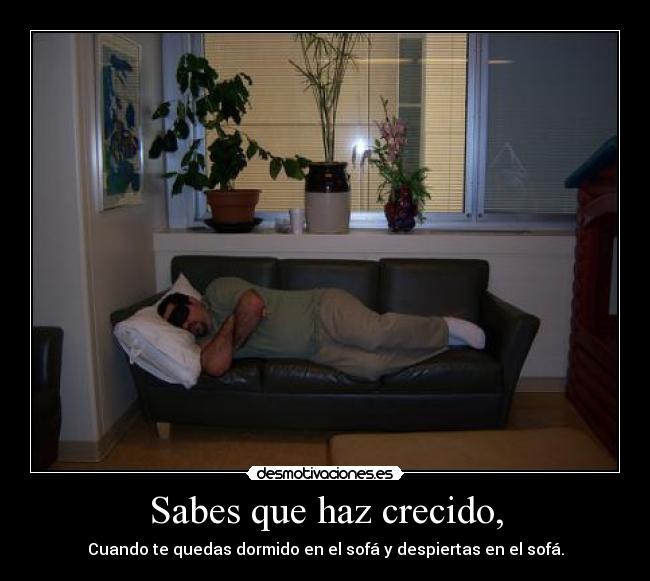Sabes que haz crecido, - Cuando te quedas dormido en el sofá y despiertas en el sofá.