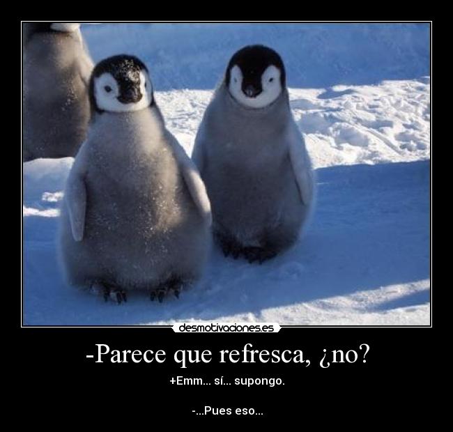 -Parece que refresca, ¿no? - +Emm... sí... supongo.

-...Pues eso...