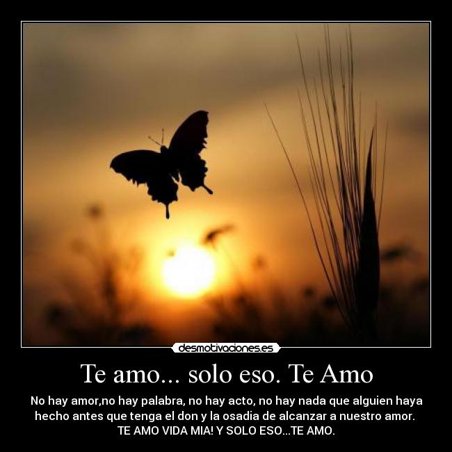carteles amor desmotivaciones