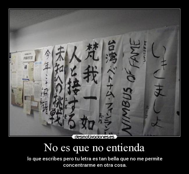 No es que no entienda -