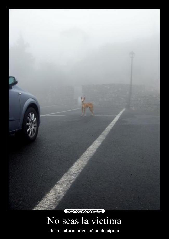 No seas la victima -