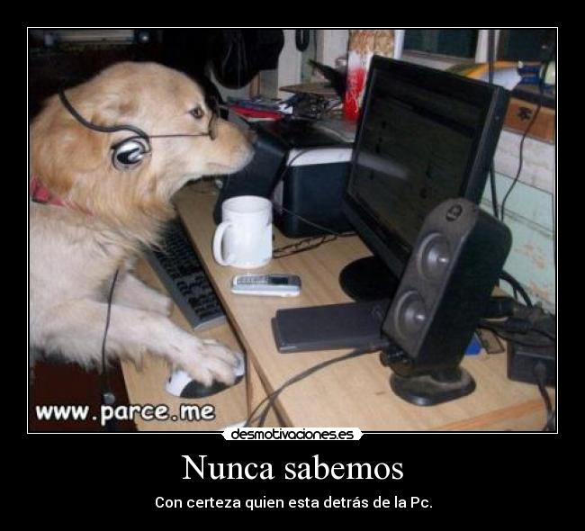 Nunca sabemos - Con certeza quien esta detrás de la Pc.