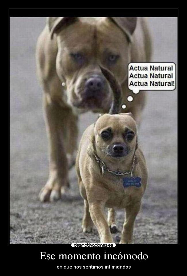 Ese momento incómodo -