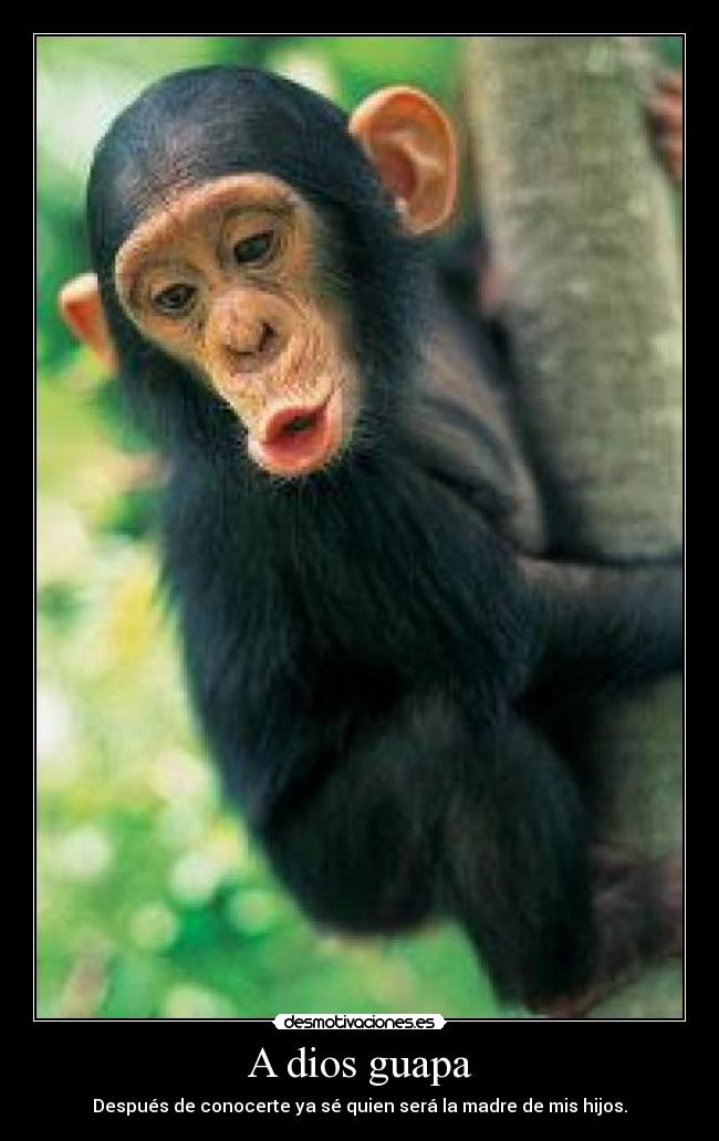 A dios guapa - Después de conocerte ya sé quien será la madre de mis hijos.