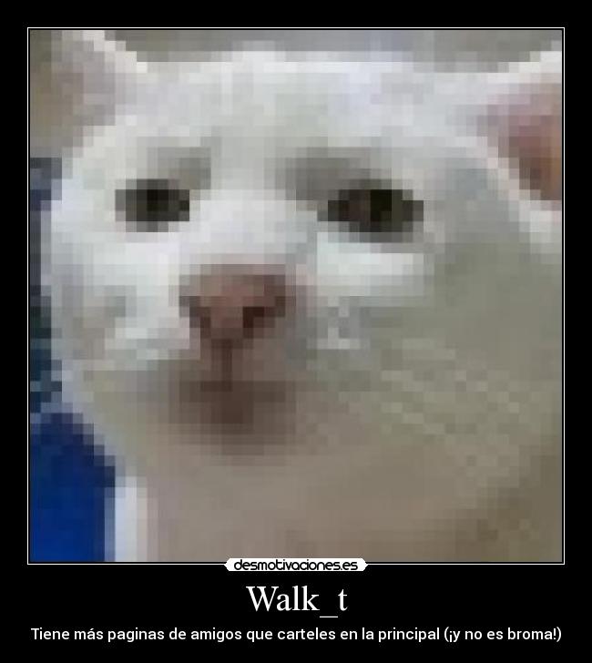 Walk_t - Tiene más paginas de amigos que carteles en la principal (¡y no es broma!)
