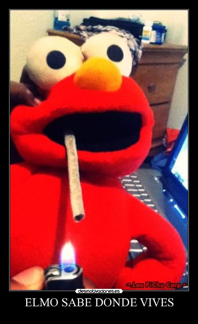 ELMO SABE DONDE VIVES -