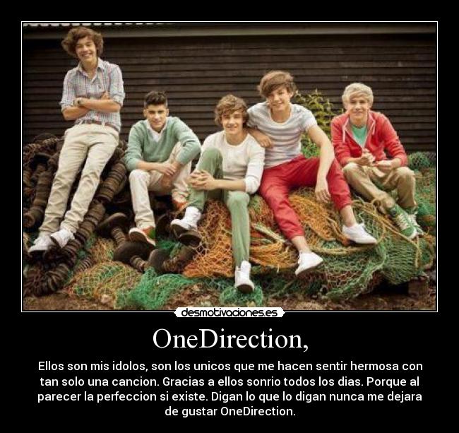 carteles onedirection desmotivaciones